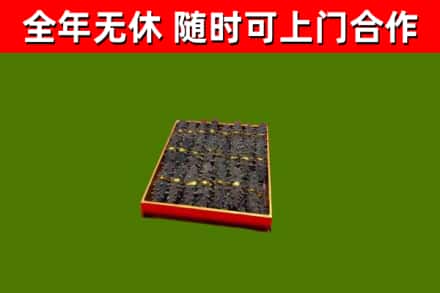 金林烟酒回收海参.jpg